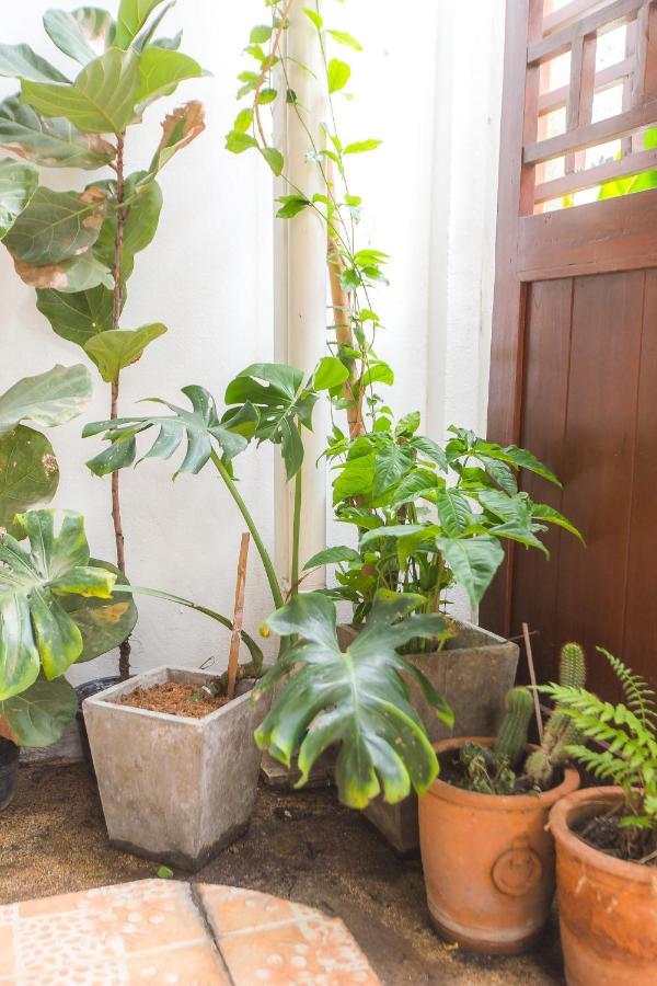 The Little Siri Hotel Chiang Mai Exterior photo
